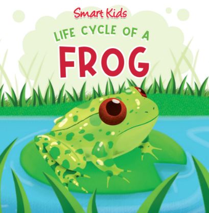 Picture of Smart Kids Life Cycle of a Frog