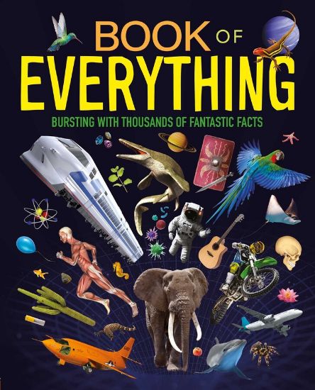 Picture of Book Of Everything