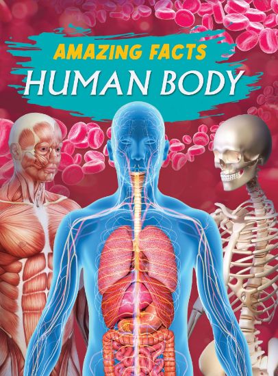 Picture of Amazing Facts - Human Body