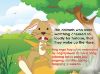 Picture of Jumbo Book (New)-The Hare & The Tortoise
